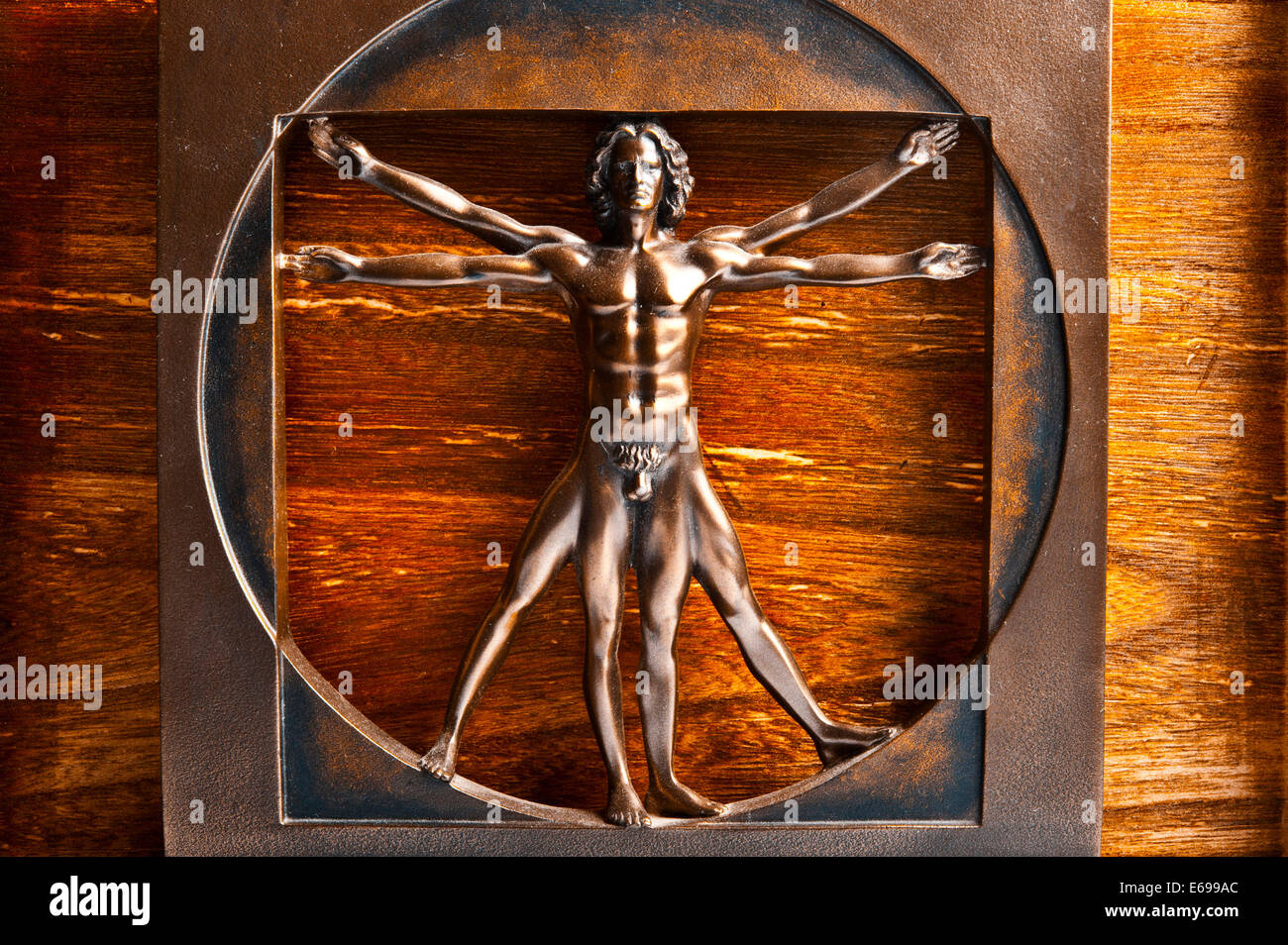 Homme de Vitruve Banque D'Images