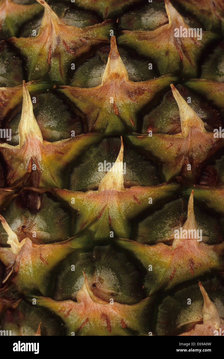 Close up detail de l'ananas de surface Banque D'Images