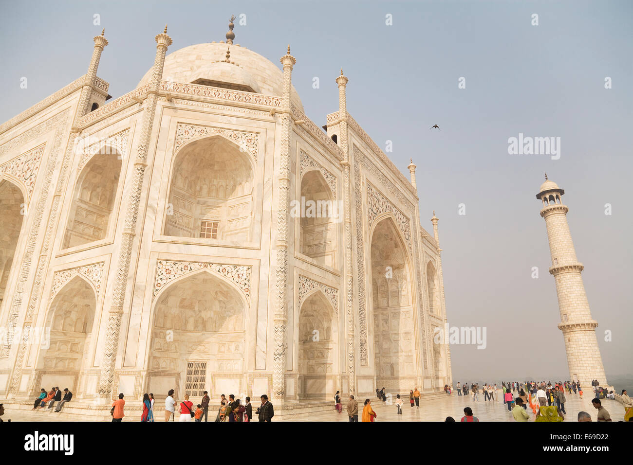 Shah Jahan ouvragée et tour de la mosquée, Agra, Inde Banque D'Images