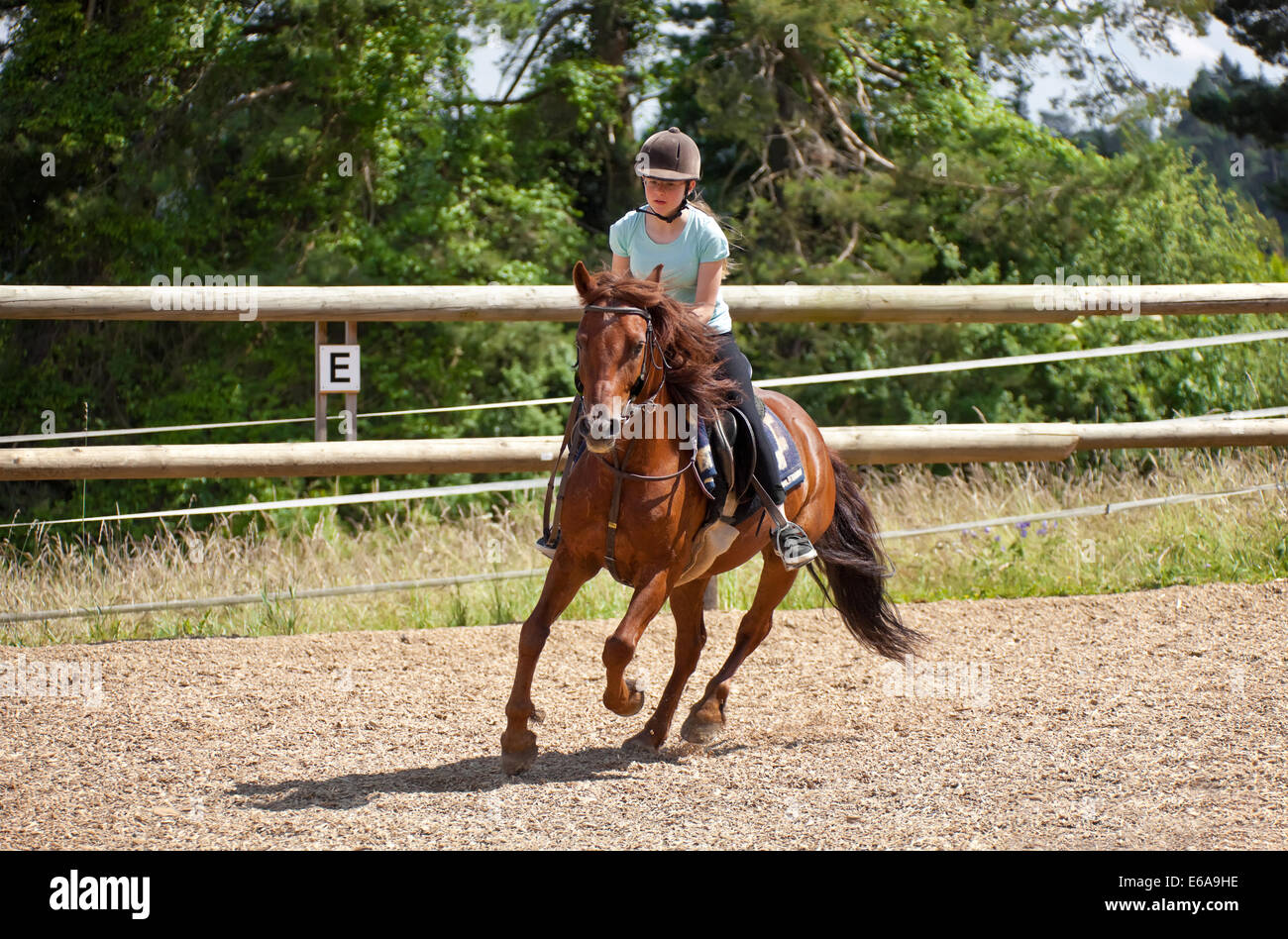 Équitation poney,cavalière,,galop Banque D'Images