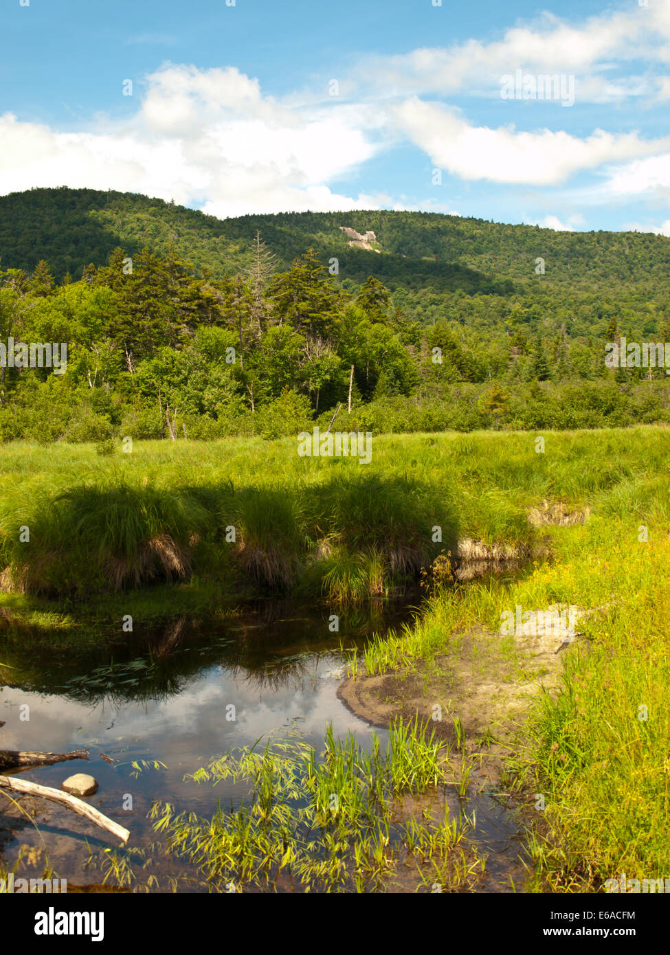 Lewey Lake dans l'Adirondack State Park, New York Banque D'Images