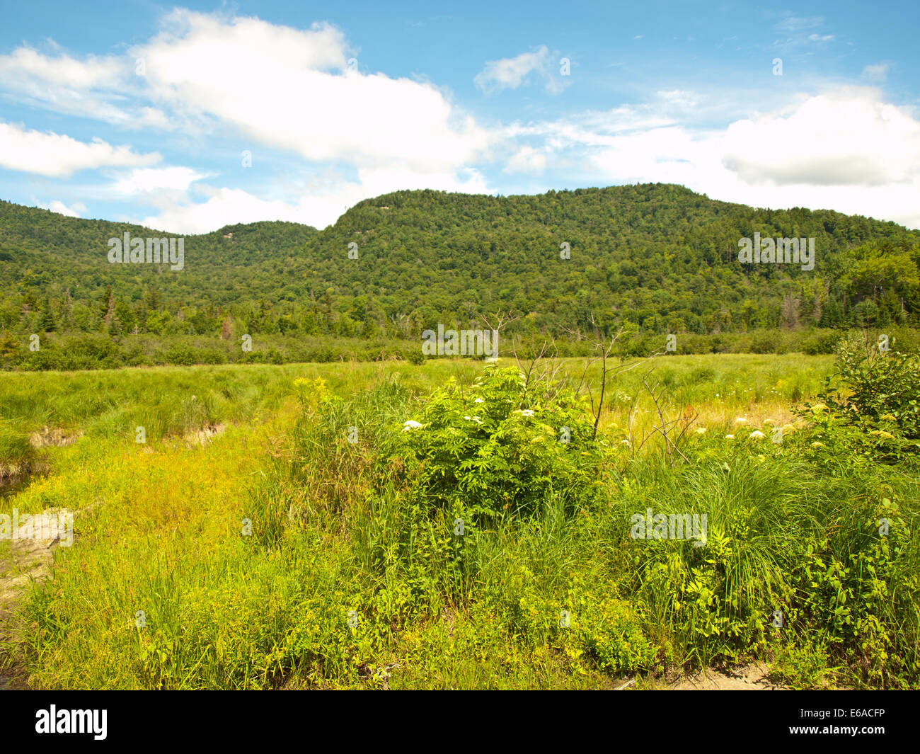 Lewey Lake, Adirondack State Park, New York Banque D'Images