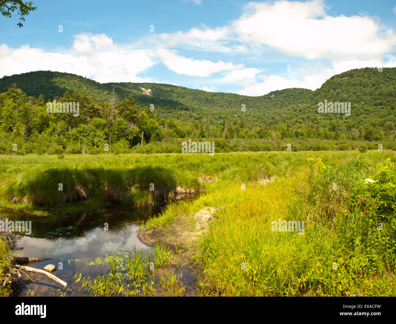 Lewey Lake dans l'Adirondack State Park, New York Banque D'Images