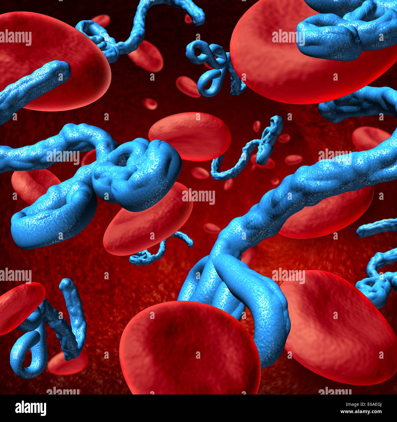 Le virus de la maladie d'Ebola dans le corps humain en tant que concept médical microbes en trois dimensions avec des cellules de sang en tant que symbole de la santé les dangers d'une infection à partir d'un micro-organisme mortel. Banque D'Images
