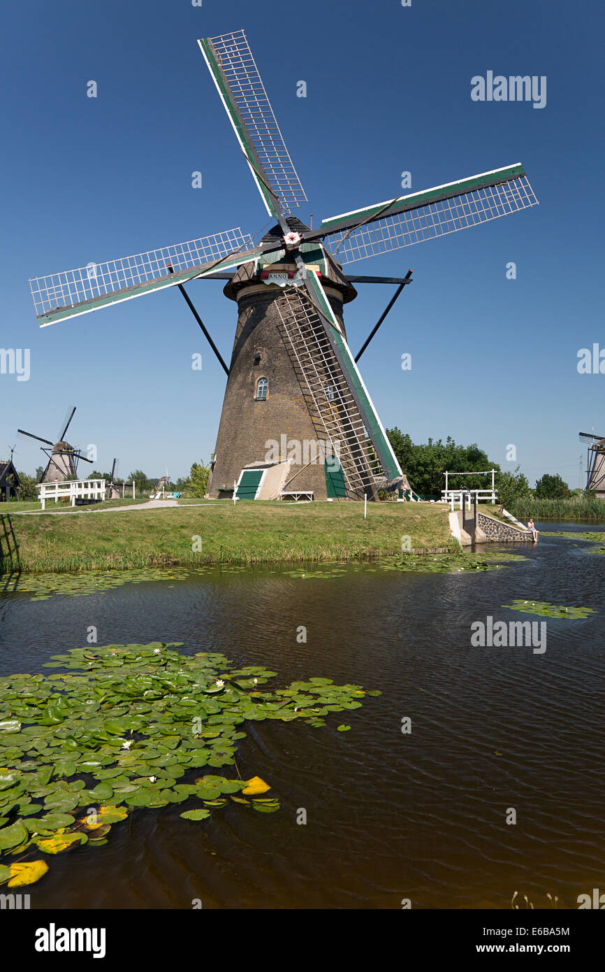 Moulin de voiles en deuil à cause de la MH17 accident d'avion, Kinderdijk, South-Holland, Pays-Bas Banque D'Images