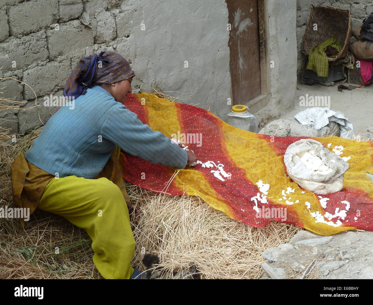 Femme à Char, Village de la vallée du Zanskar, Ladakh, le Jammu-et-Cachemire, l'Inde, l'Himalaya, près de Phuktal Gompa, la fabrication du fromage Banque D'Images