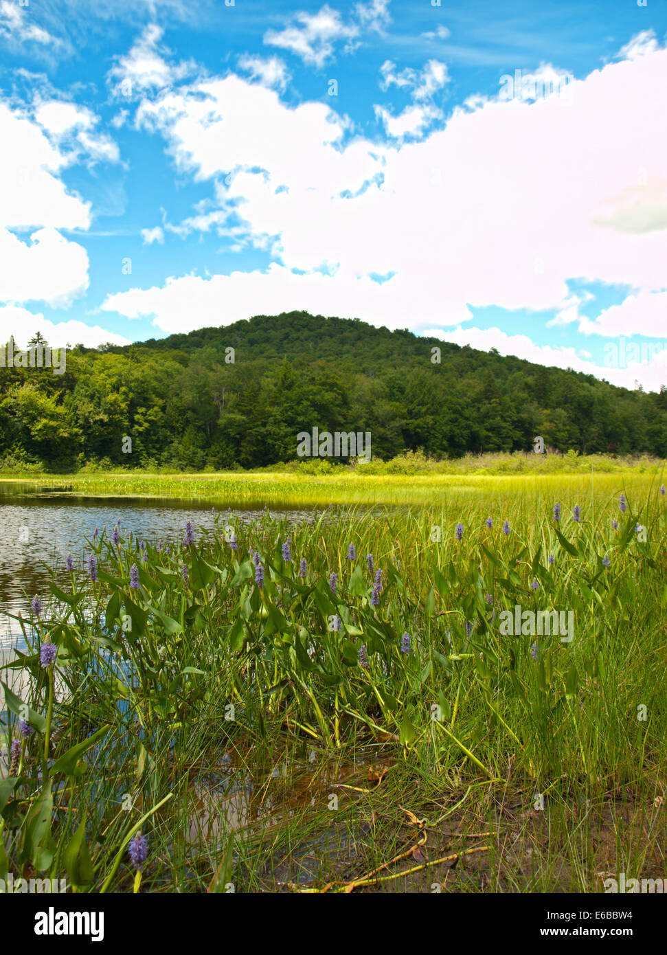 Lac Gilman, Adirondack State Park, New York Banque D'Images