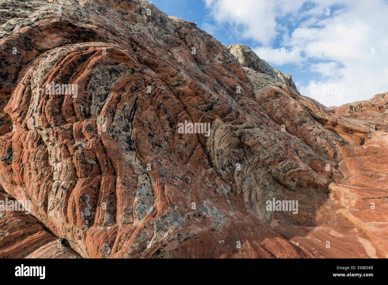Rock tourbillons et de stries, White Pocket, Vermillion Cliffs National Monument, Arizona Banque D'Images