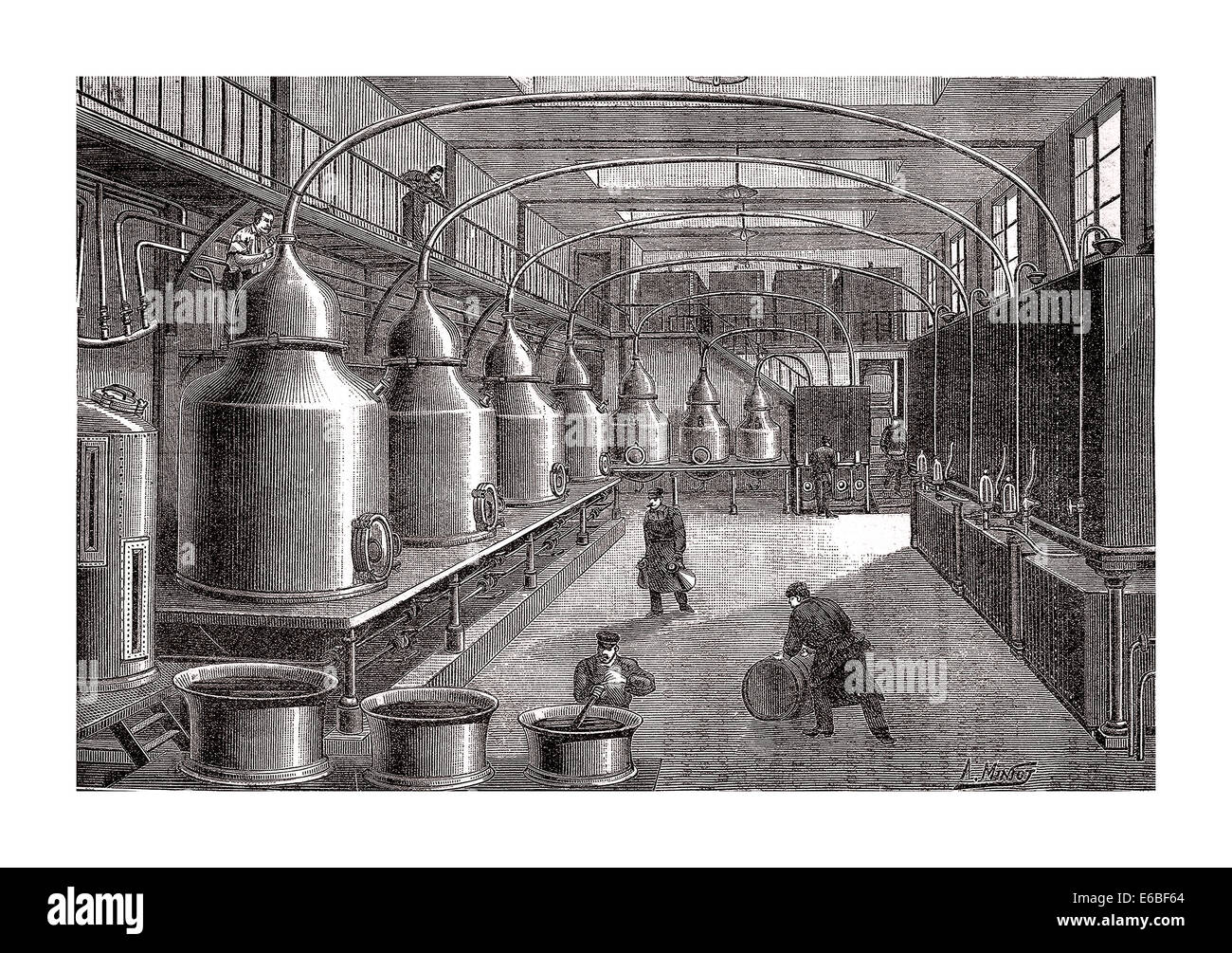B&w illustration historique de la fabrication de l'alcool d'Absinthe distillant en France Banque D'Images