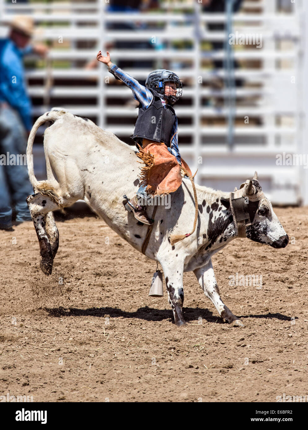 Les jeunes d'une petite circonscription cowboy bull dans l'équitation, concours junior Steer Chaffee County Fair & Rodeo Banque D'Images