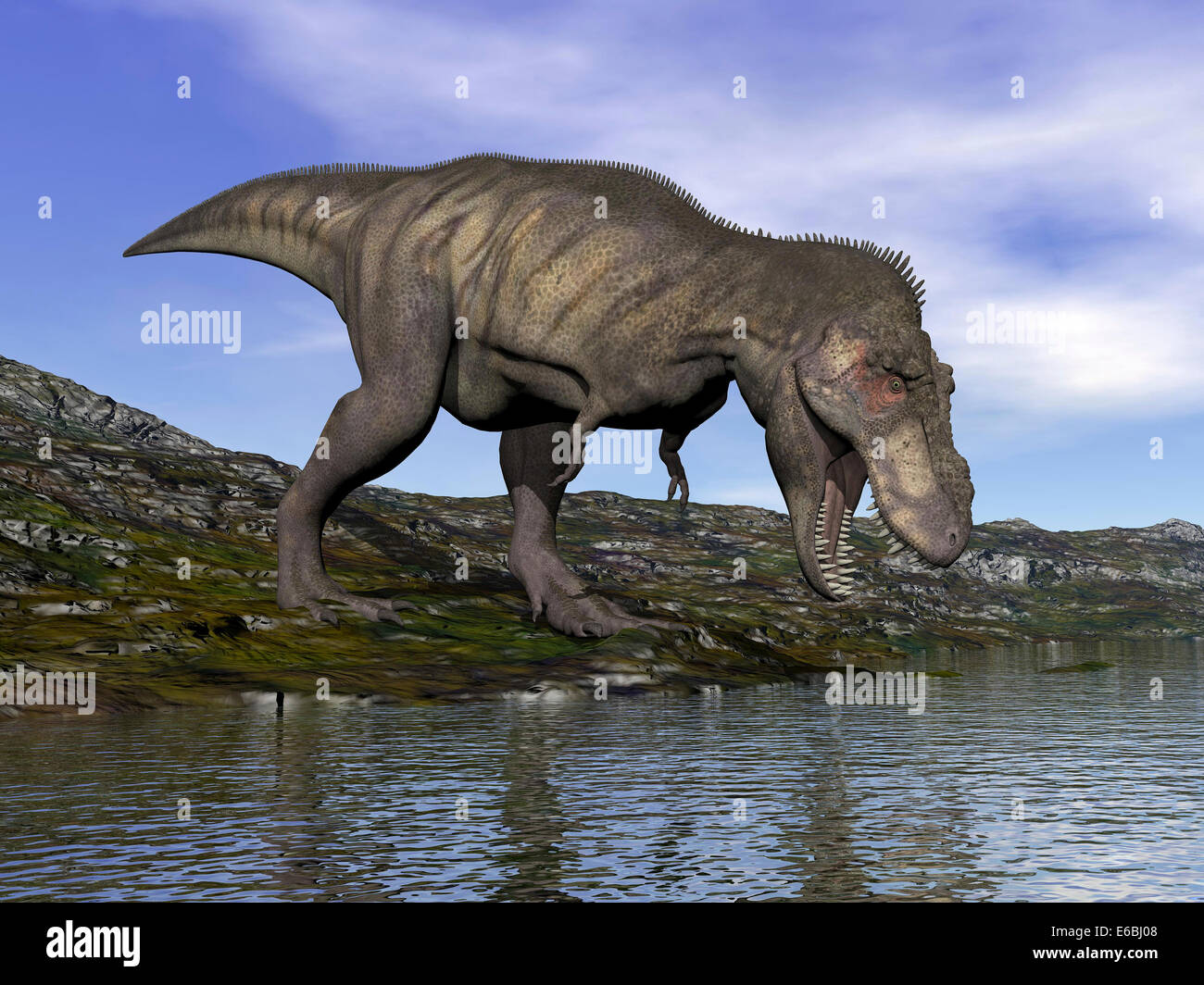 Dinosaure Tyrannosaurus rex balade au bord de l'eau. Banque D'Images