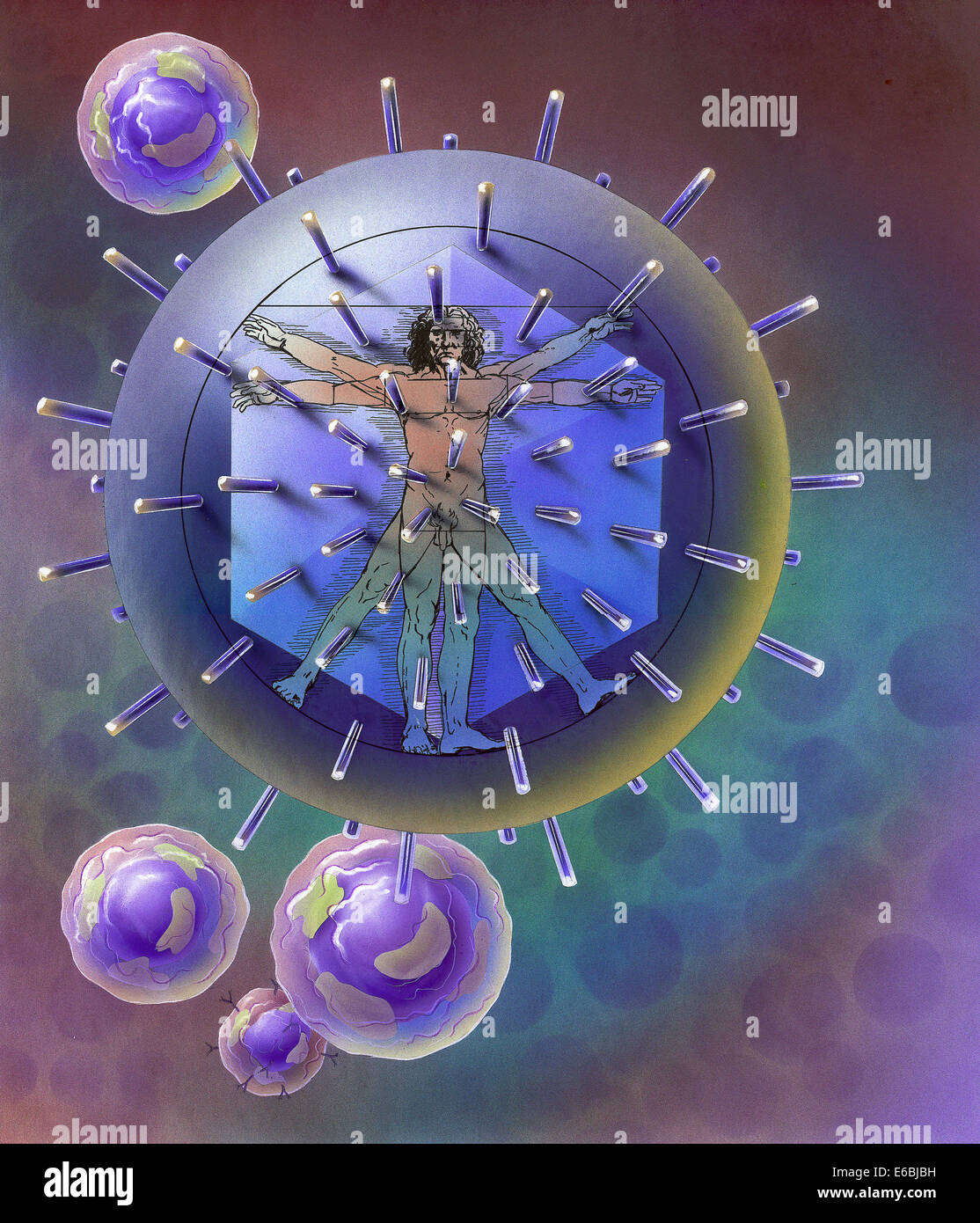 Homme de Vitruve à l'intérieur de particules de virus. Banque D'Images