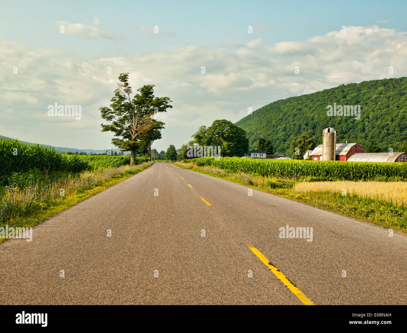 Chemin rural dans une petite ville de l'Amérique latine Banque D'Images