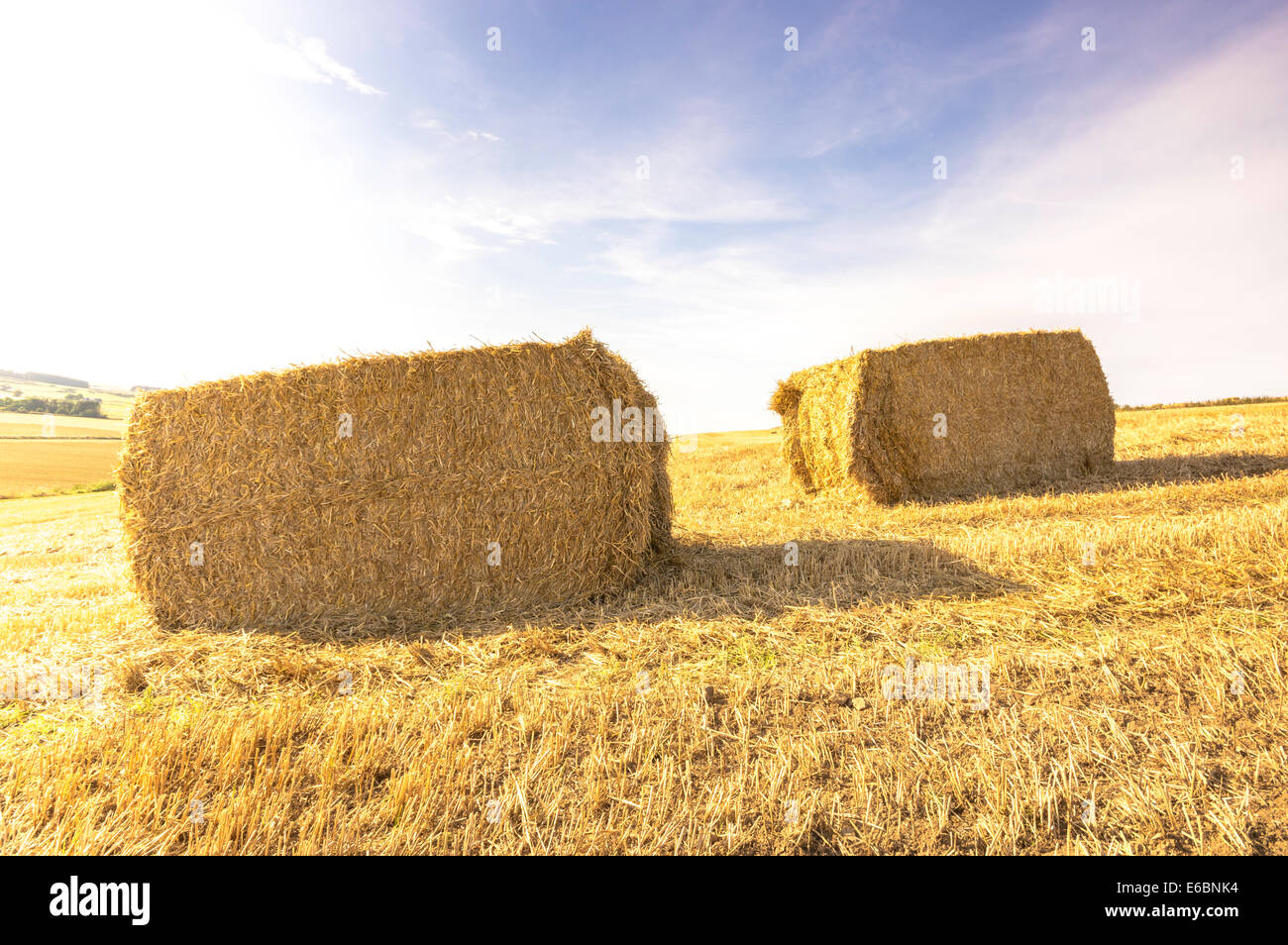 Lumière dorée sur hay bails Banque D'Images