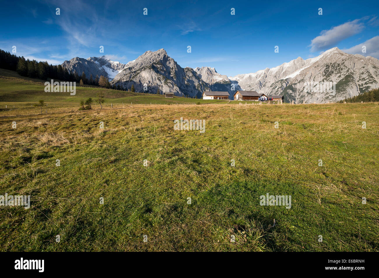 Hinterhorner Alm pâturage dans les montagnes du Karwendel, Tyrol, Autriche Banque D'Images