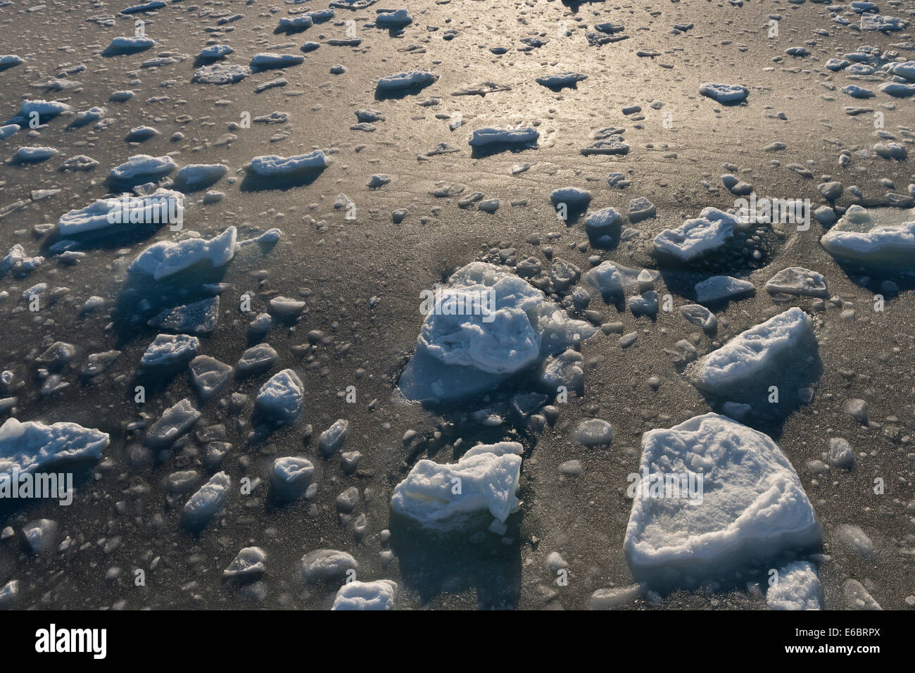 Le gel, la mer de glace, le long de la banquise, l'océan Arctique, Spitzberg, Svalbard, îles Svalbard et Jan Mayen (Norvège) Banque D'Images