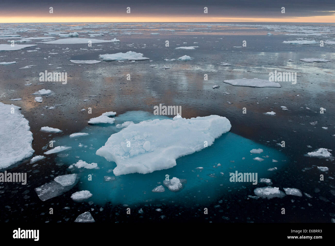 Les banquises, long de la banquise, l'océan Arctique, Spitzberg, Svalbard, îles Svalbard et Jan Mayen (Norvège) Banque D'Images