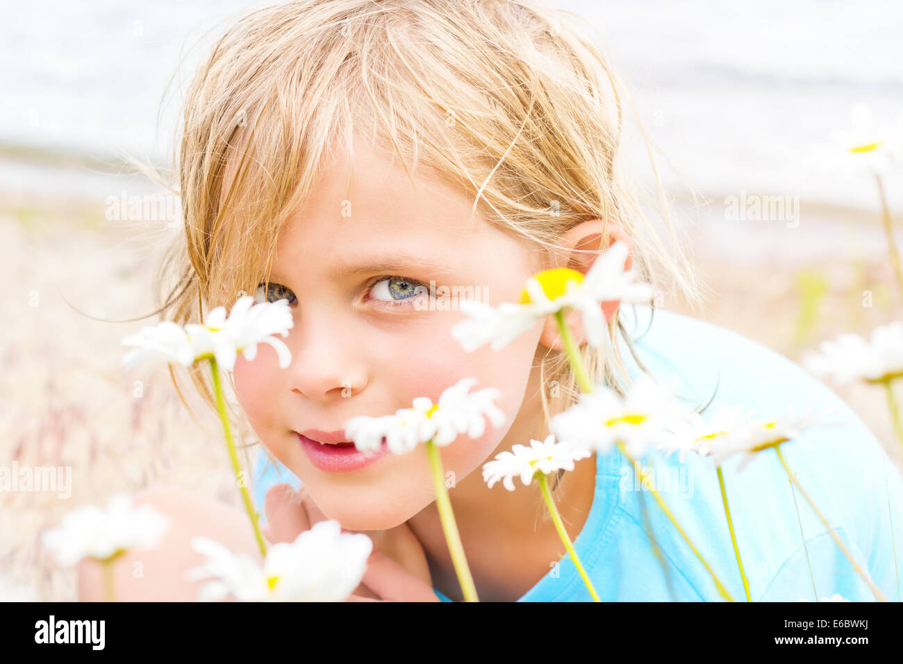 Jolie petite fille blonde dans un Patch de marguerites sur la plage Banque D'Images