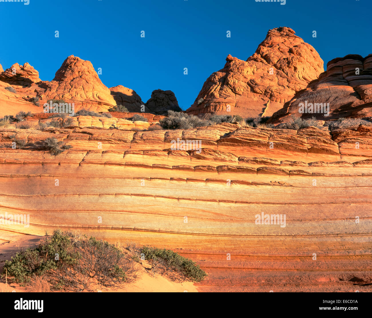 Vermillion Cliffs National Monument, Arizona. USA. Les lits de grès. Coyote Buttes. Plateau du Colorado. Banque D'Images