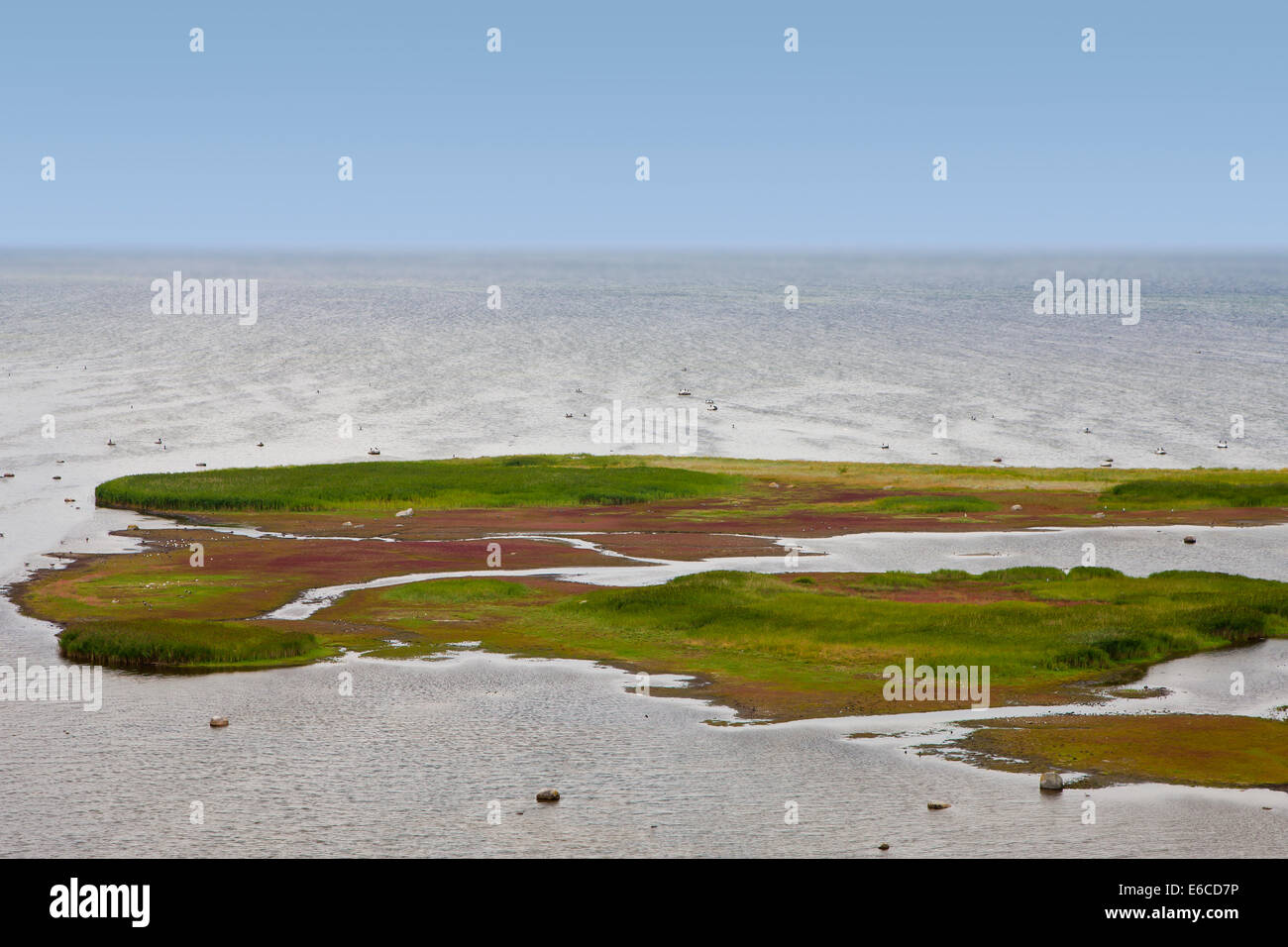 Télévision de l'île couverte d'herbe Banque D'Images