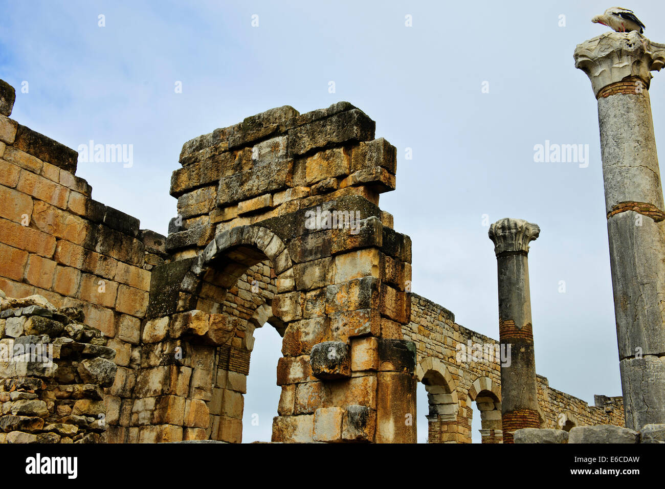 Volubilis, ville romaine de fouilles au Maroc,vallée fertile,Olives,agriculture,Paul Street & Voyage photographe de paysage,Maroc Banque D'Images