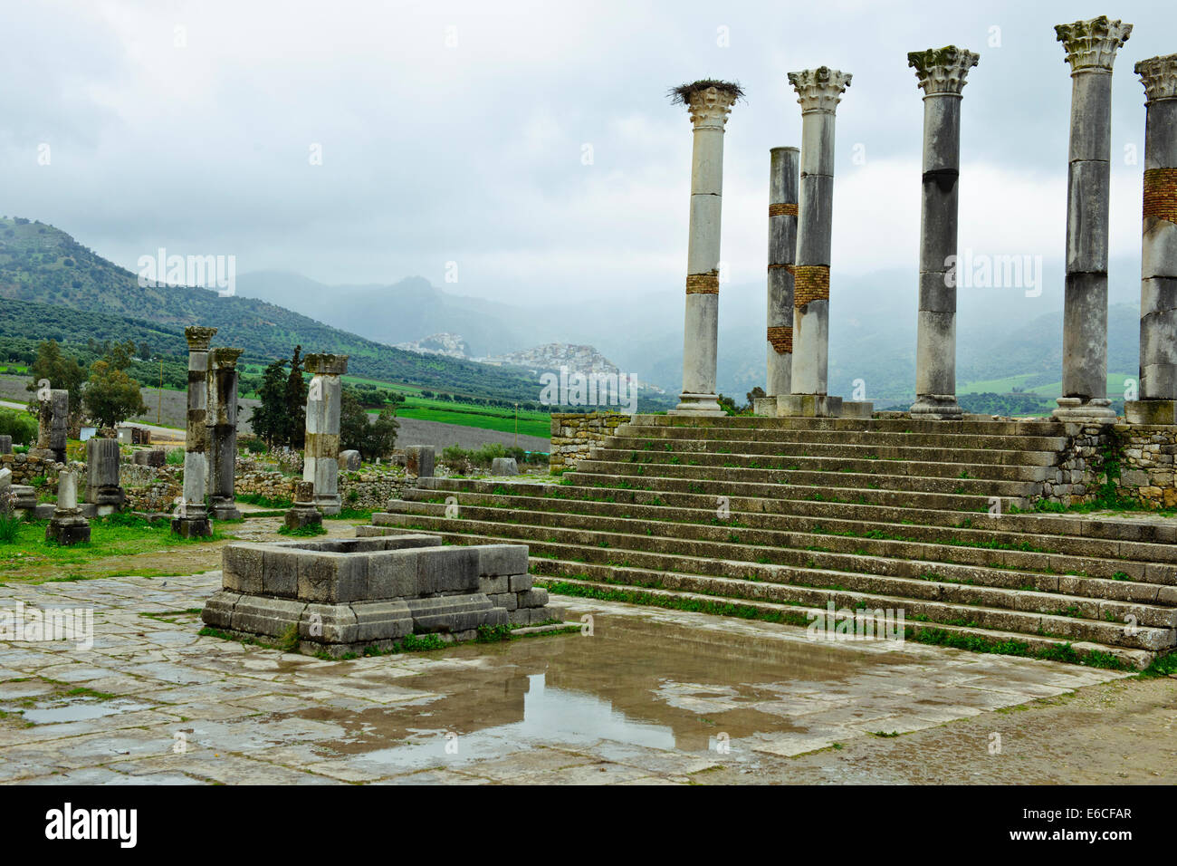 Volubilis, ville romaine de fouilles au Maroc,vallée fertile,Olives,agriculture,Paul Street & Voyage photographe de paysage,Maroc Banque D'Images