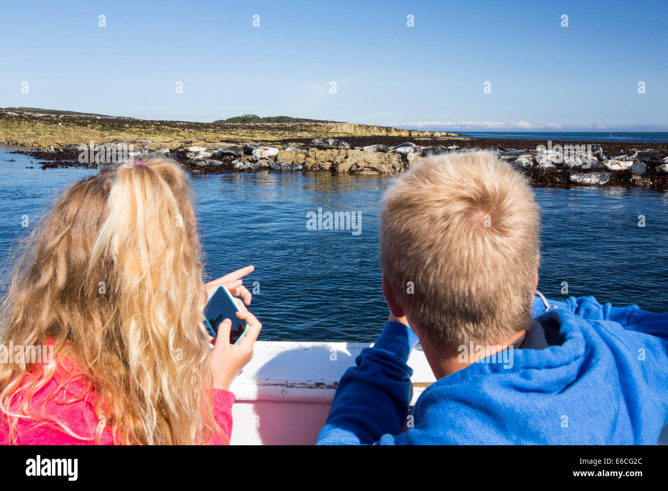 Regarder les touristes Phoques communs à partir d'un bateau pour les îles Farne, Northumberland, Angleterre. Banque D'Images