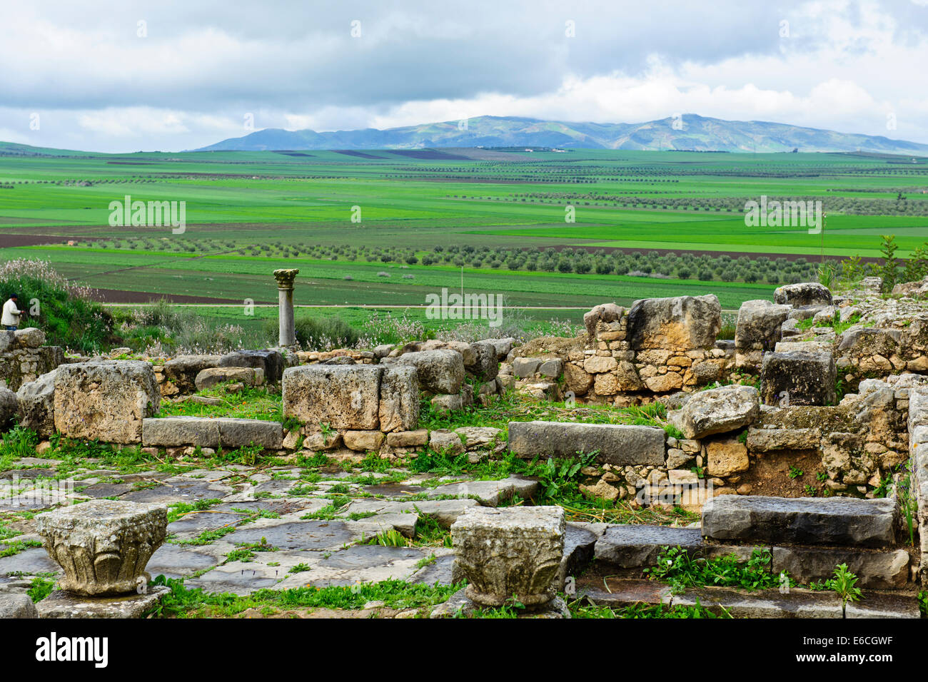 Volubilis, ville romaine de fouilles au Maroc,vallée fertile,Olives