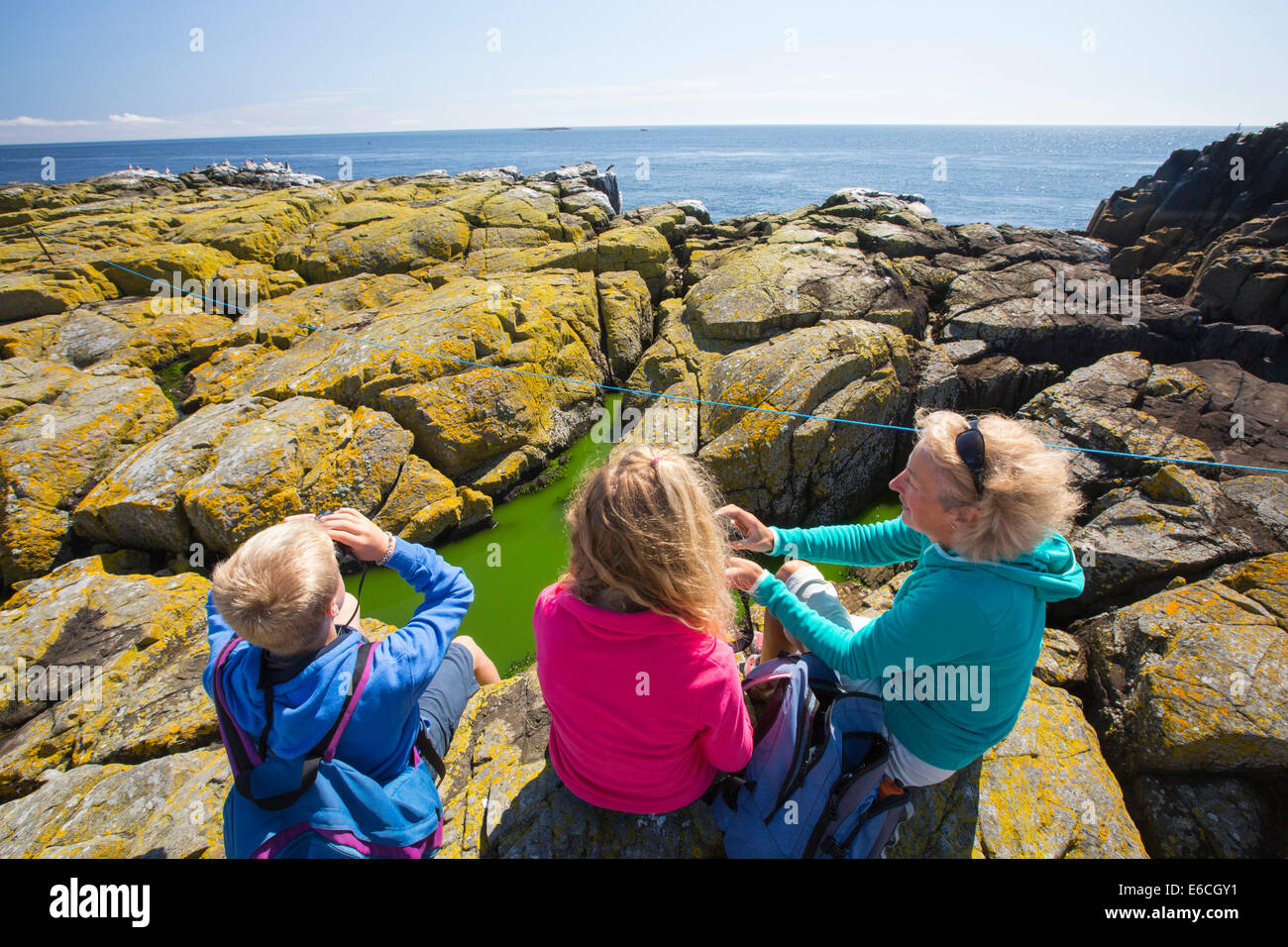 Les touristes sur les îles Farne, Northumberland, Angleterre. Banque D'Images