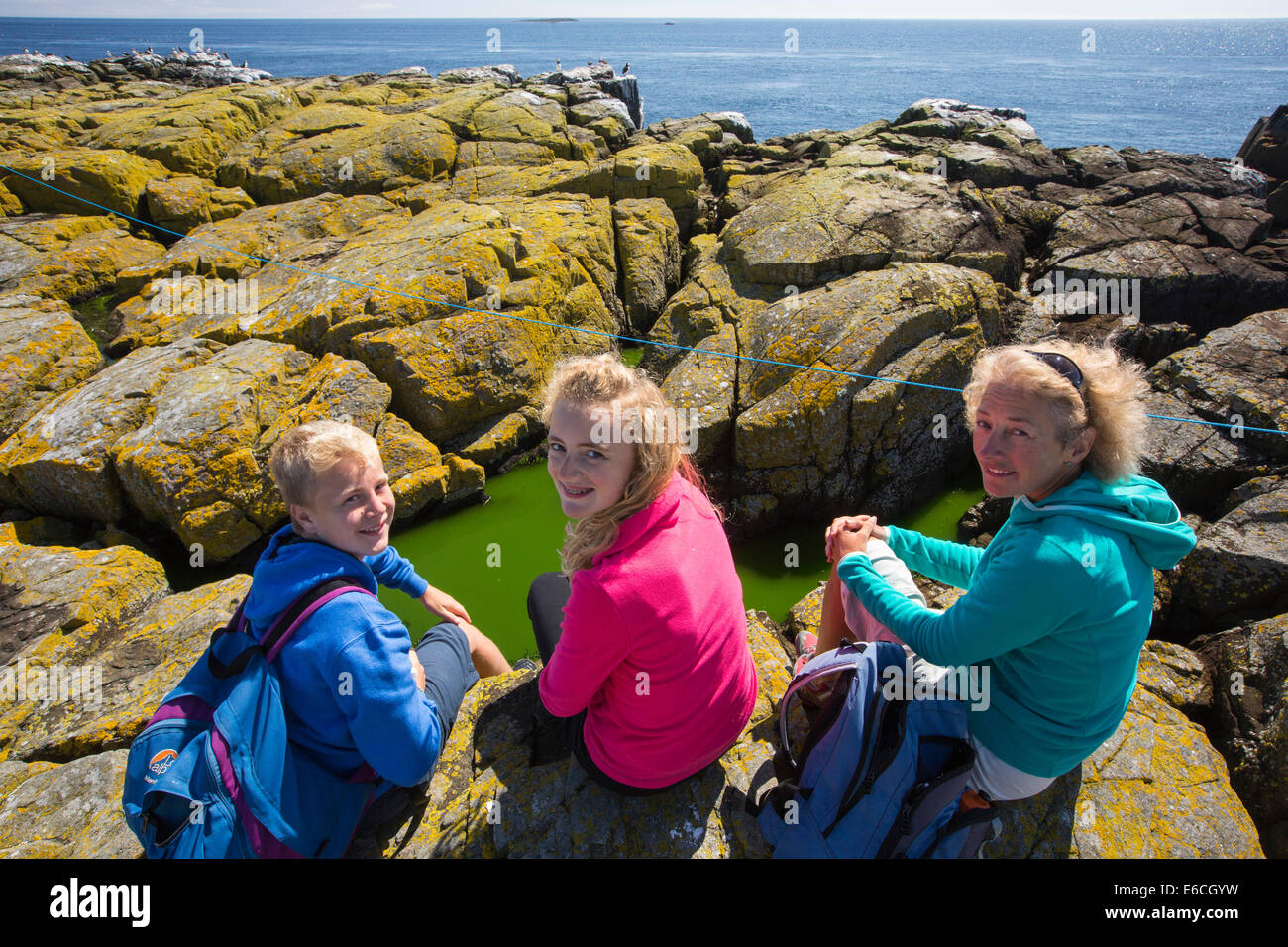 Les touristes sur les îles Farne, Northumberland, Angleterre. Banque D'Images