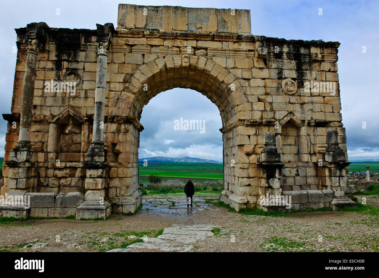 Volubilis, ville romaine de fouilles au Maroc,vallée fertile,Olives