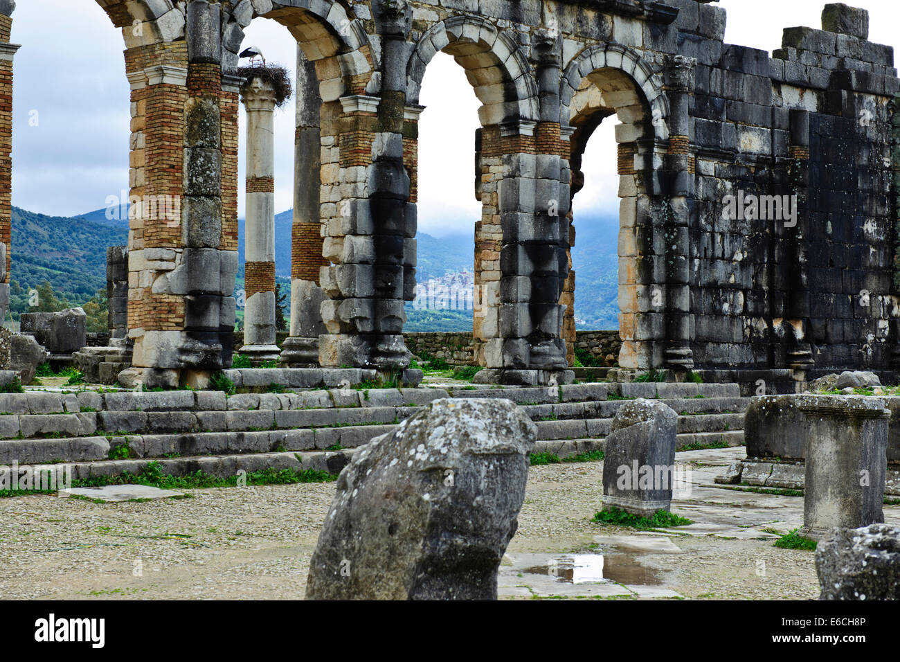 Volubilis, ville romaine de fouilles au Maroc,vallée fertile,Olives