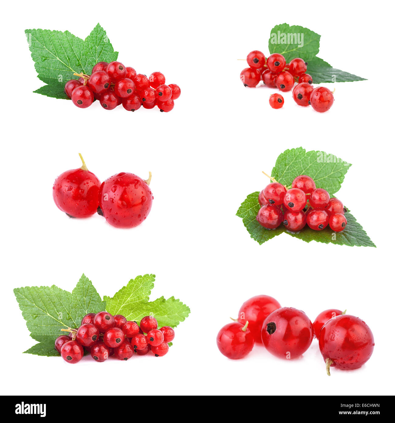 Jeu de groseille rouge, les baies mûres isolé sur fond blanc Banque D'Images