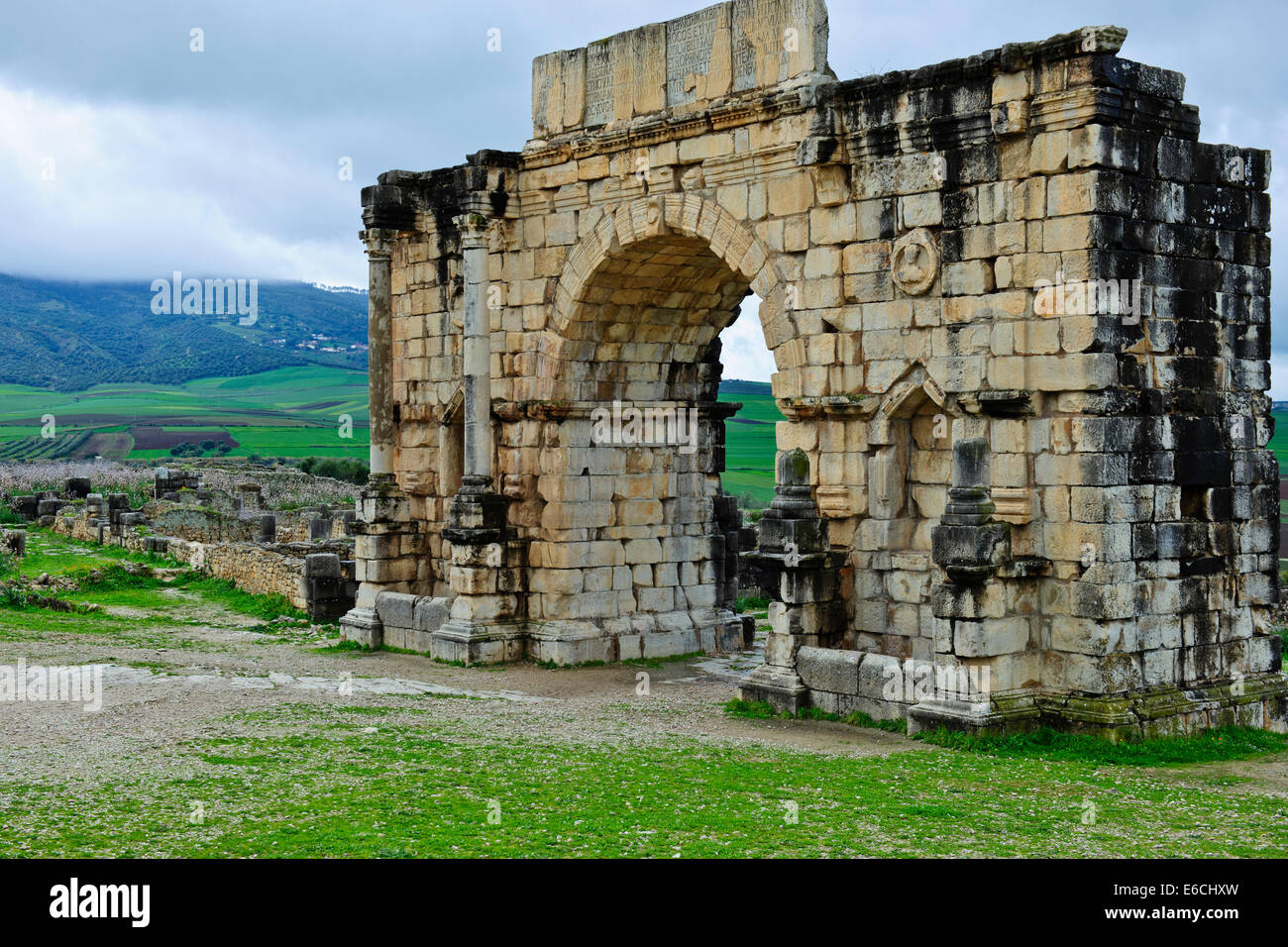 Volubilis, ville romaine de fouilles au Maroc,vallée fertile,Olives,agriculture,Paul Street & Voyage photographe de paysage,Maroc Banque D'Images