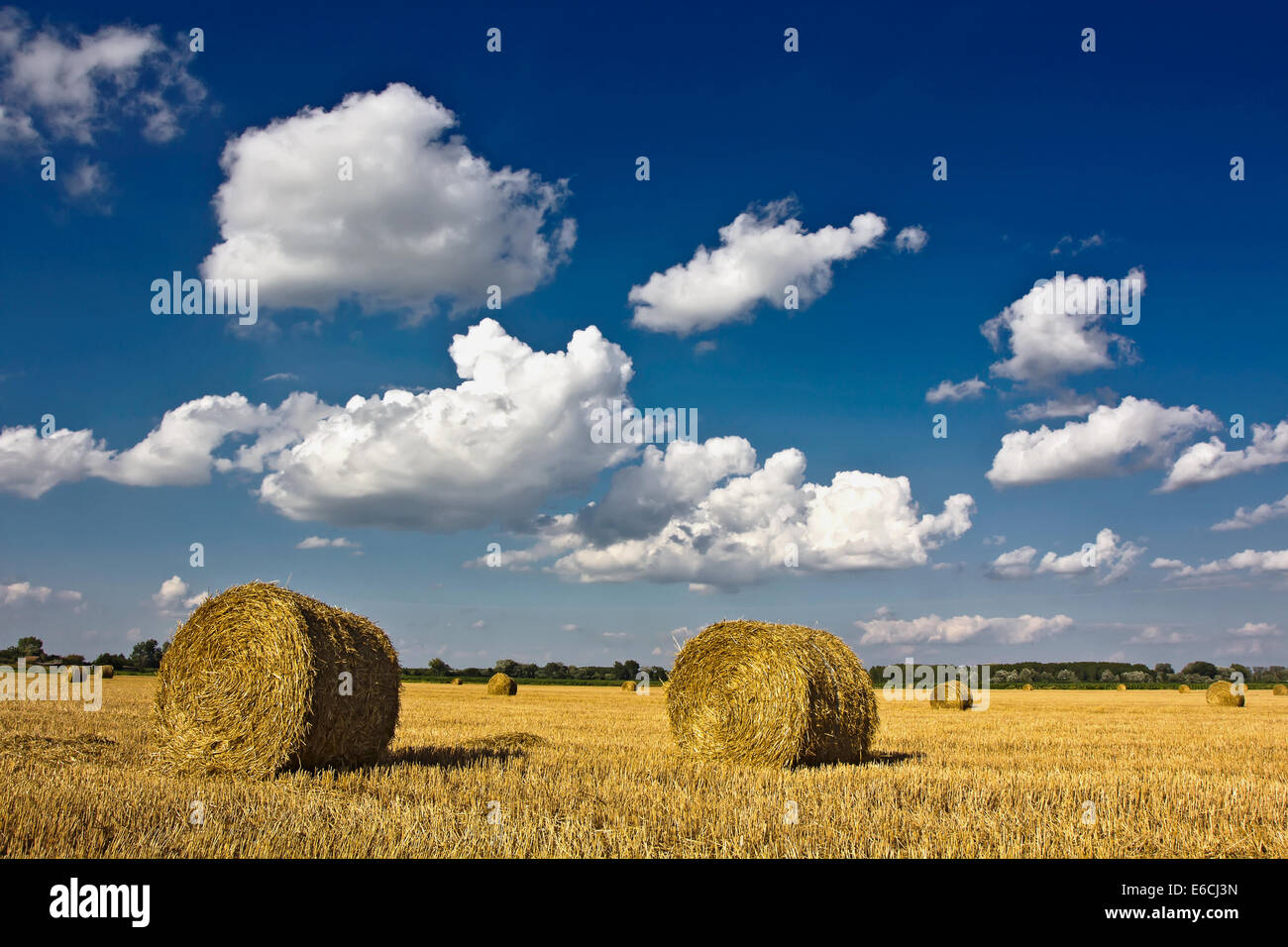 Bottes de paille sur les terres agricoles avec ciel bleu et nuages. Banque D'Images