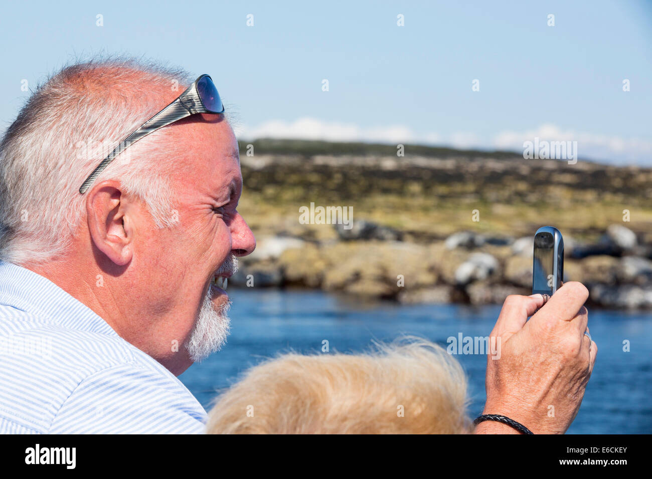 Les phoques communs, Phoca vitulina, sur l'îles Farne, Northumberland, Angleterre, avec un homme à les photographier sur son téléphone. Banque D'Images