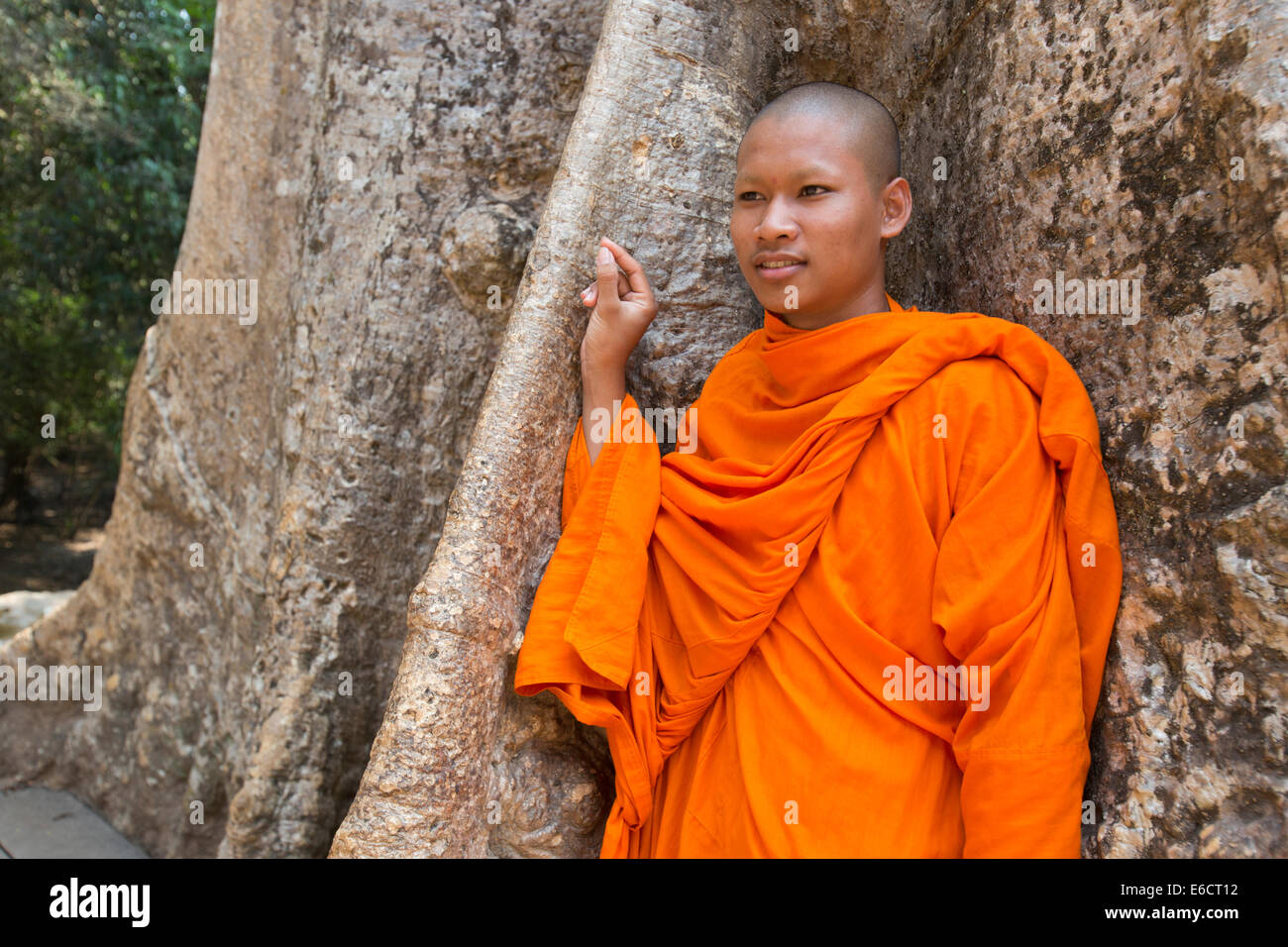Moine cambodgien en face de strangler Fig Tree à Ta Prohm temple à Angkor Banque D'Images