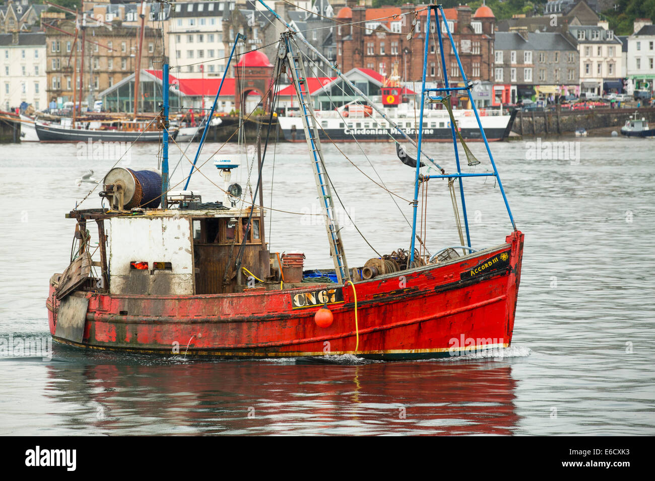 Un bateau de pêche de rentrer au port à Oban, Scotland, UK. Banque D'Images