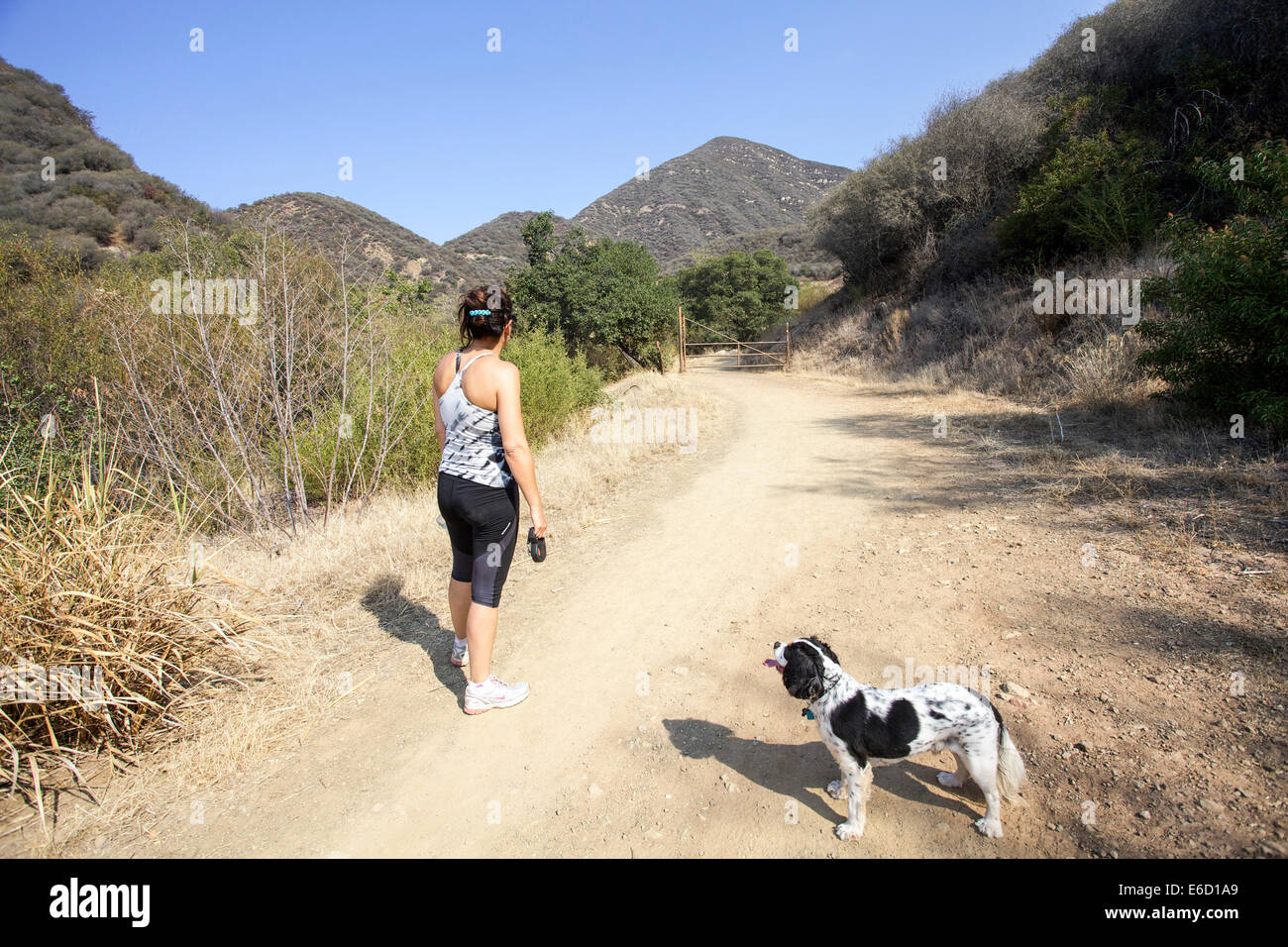 Femme et son chien à Pratt Trail, Ojai, comté de Ventura, Californie, USA Banque D'Images