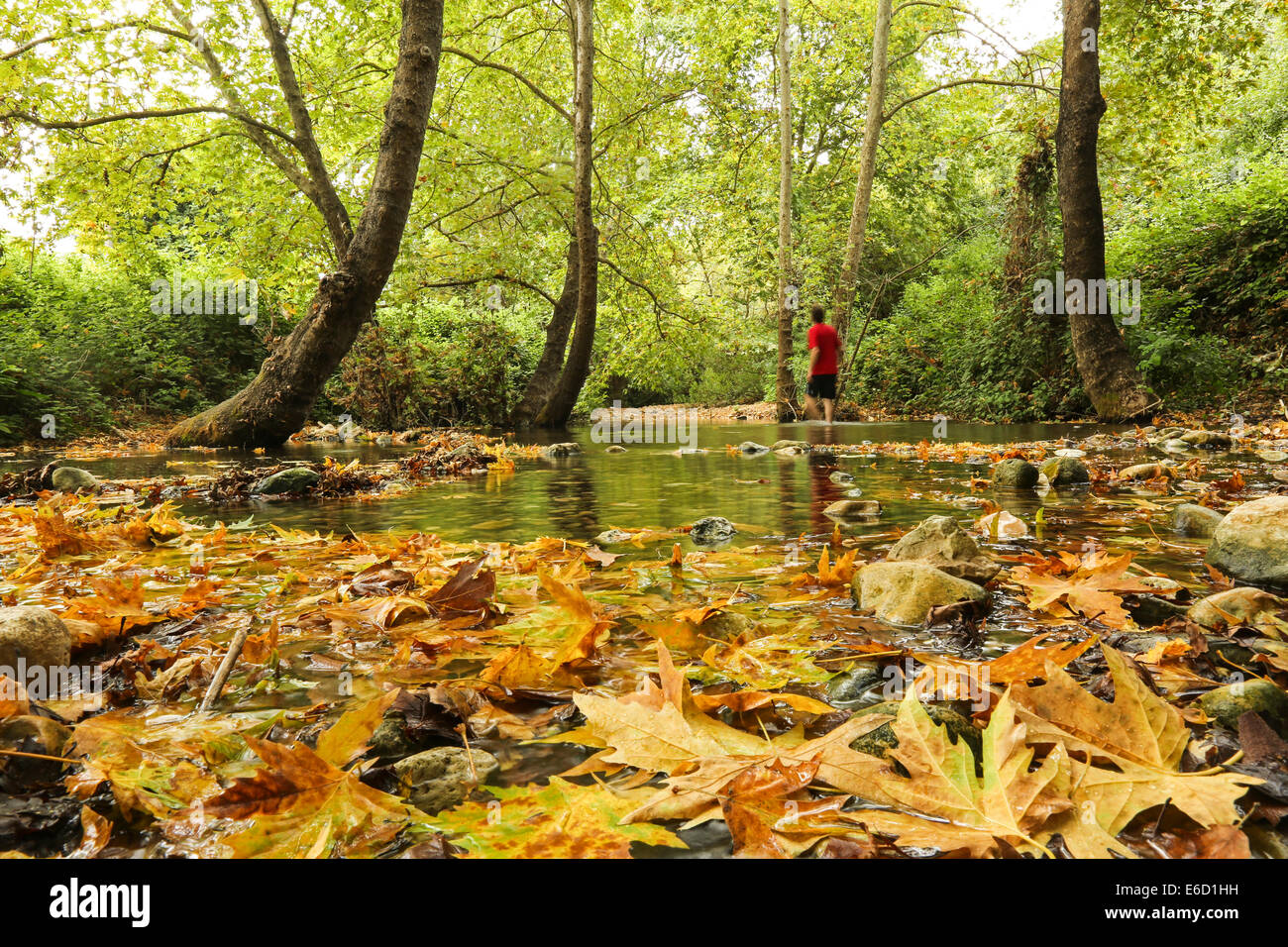 Israël, dans l'ouest de la Galilée, de la Réserve Naturelle de Wadi Kziv Banque D'Images