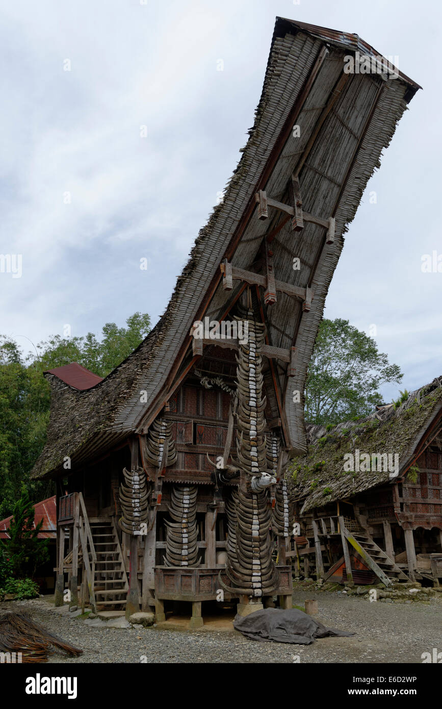 Chambre de stockage traditionnelles tongkonan, village de palawa, Sulawesi Selatan, rantepao, Indonésie Banque D'Images