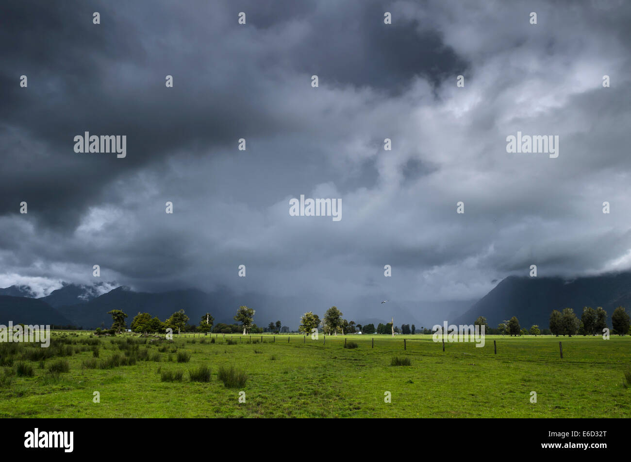 Les pâturages avec les nuages de tempête et de la pluie, île du Sud, Nouvelle-Zélande Banque D'Images