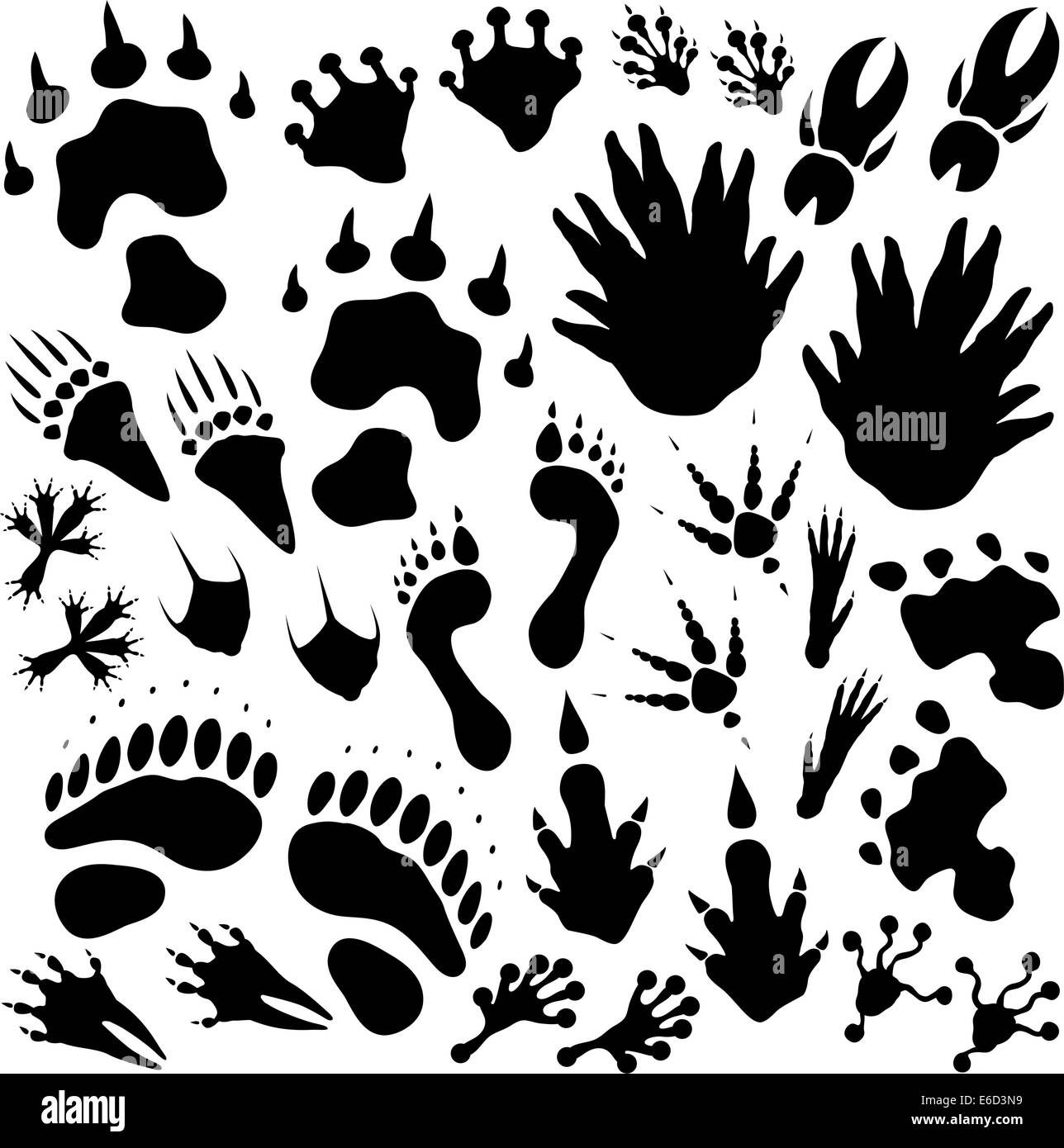 Ensemble de vecteurs modifiables monster ou exotiques footprints Illustration de Vecteur