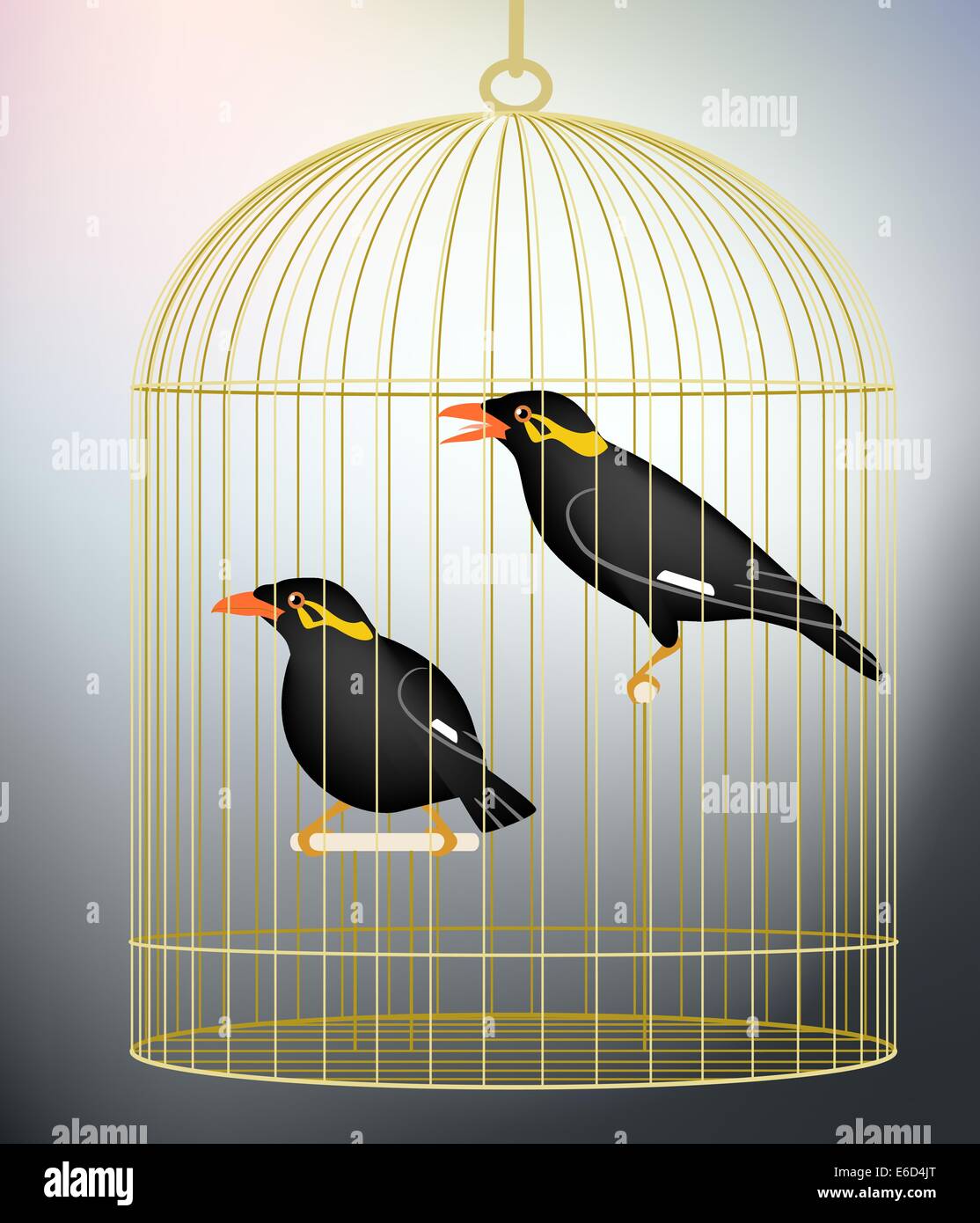 Illustration vectorielle modifiable d'une paire d'oiseaux en cage hill myna faite avec filets de dégradé Illustration de Vecteur Illustration vectorielle modifiable d'une paire d'oiseaux en cage hill myna faite avec filets de dégradé Illustration de Vecteur