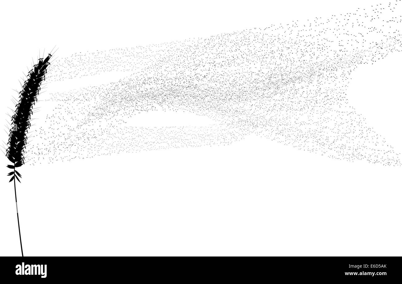 Illustration vectorielle modifiable d'une fleur et pollen d'herbe à la dérive Illustration de Vecteur