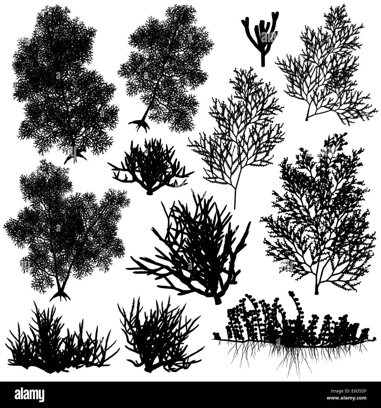 Ensemble de coraux Silhouettes vecteur modifiable Illustration de Vecteur