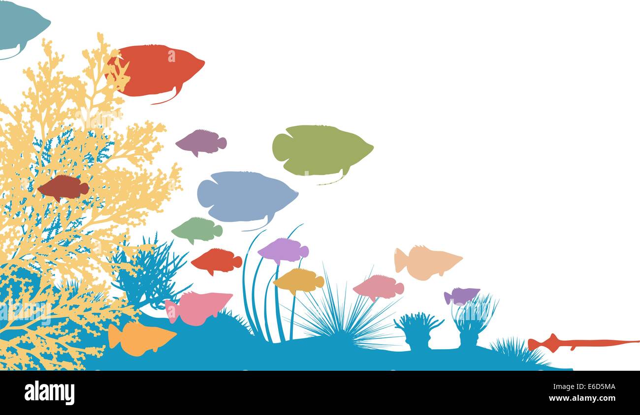 Illustration Vecteur de poissons multicolores et de coraux silhouettes Illustration de Vecteur