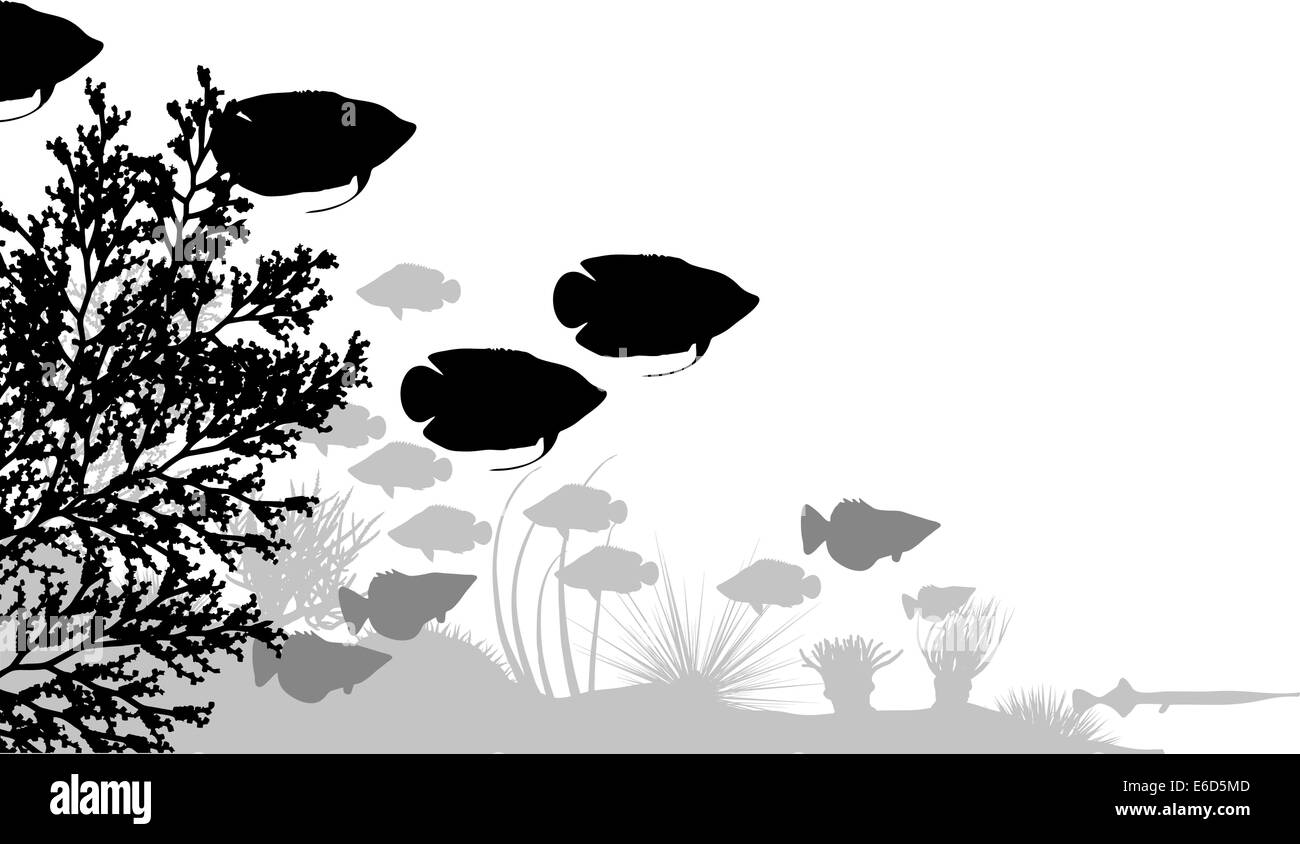 Illustration Vecteur de poissons et de coraux silhouettes Illustration de Vecteur