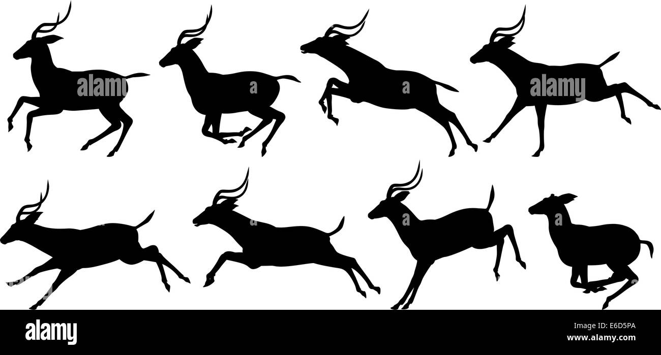 Jeu de silhouettes vecteur modifiables en cours d'exécution d'antilopes impala Illustration de Vecteur