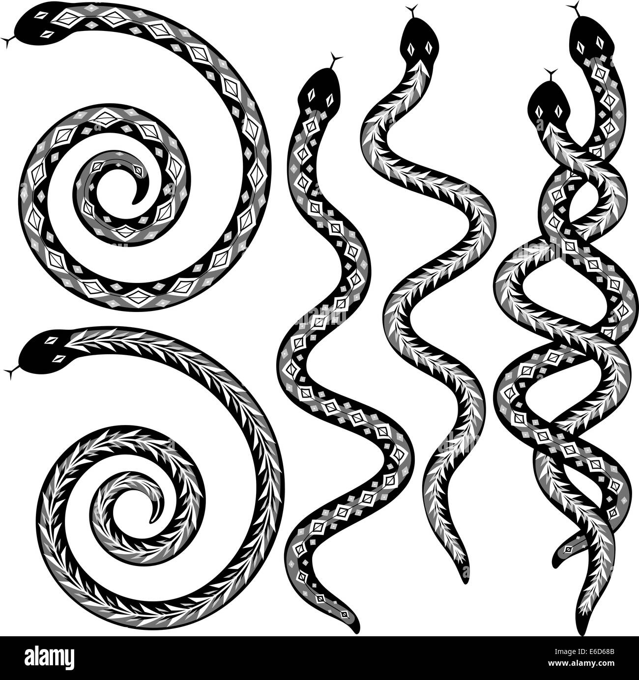Ensemble de dessins vectoriels modifiables serpents noir et blanc Illustration de Vecteur